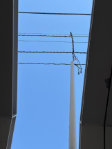 まいっちんぐ - あみ先生の女の子ブログ画像