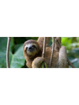 まいっちんぐ - あみ先生の女の子ブログ画像