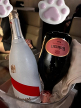 まいっちんぐ - るる先生の女の子ブログ画像