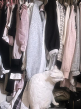 まいっちんぐ - るる先生の女の子ブログ画像