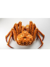 桃白白 - るるの女の子ブログ画像