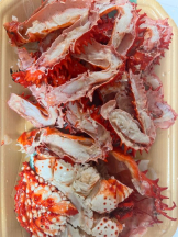 桃白白 - るるの女の子ブログ画像