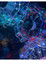 桃白白 - りおの女の子ブログ画像