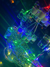 桃白白 - つばきの女の子ブログ画像