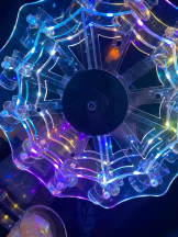 桃白白 - つばきの女の子ブログ画像