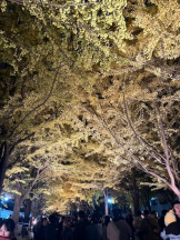 桃白白 - あかりの女の子ブログ画像