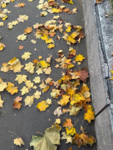 桃白白 - あかりの女の子ブログ画像