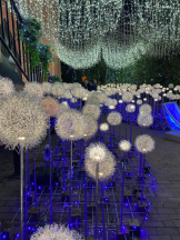 桃白白 - あかりの女の子ブログ画像