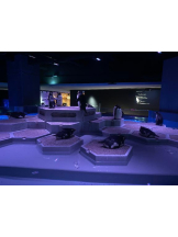 桃白白 - あかりの女の子ブログ画像