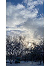 桃白白 - あかりの女の子ブログ画像