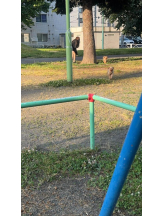 桃白白 - ひなの女の子ブログ画像