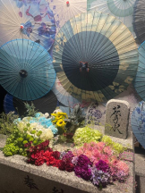 桃白白 - せなの女の子ブログ画像