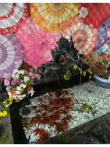 桃白白 - せなの女の子ブログ画像