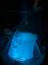 桃白白 - ゆきの女の子ブログ画像