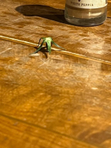 桃白白 - かれんの女の子ブログ画像