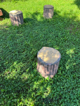 桃白白 - かれんの女の子ブログ画像