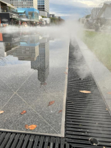 桃白白 - かれんの女の子ブログ画像