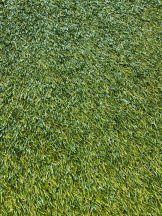 桃白白 - かれんの女の子ブログ画像