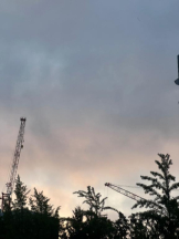 桃白白 - かれんの女の子ブログ画像