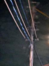 桃白白 - かれんの女の子ブログ画像