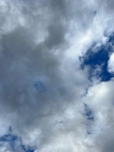 桃白白 - かれんの女の子ブログ画像