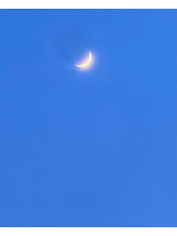 桃白白 - かれんの女の子ブログ画像