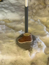 桃白白 - かれんの女の子ブログ画像