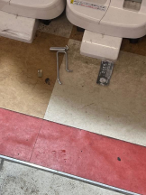 桃白白 - かれんの女の子ブログ画像