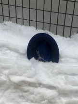 桃白白 - かれんの女の子ブログ画像