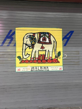 桃白白 - かれんの女の子ブログ画像