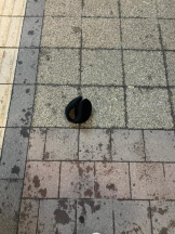 桃白白 - かれんの女の子ブログ画像