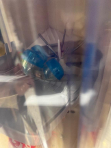 桃白白 - かれんの女の子ブログ画像