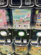 桃白白 - かれんの女の子ブログ画像