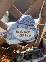 桃白白 - るいの女の子ブログ画像