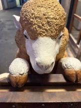 桃白白 - るいの女の子ブログ画像