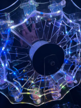 桃白白 - るいの女の子ブログ画像