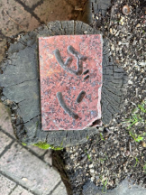 桃白白 - るいの女の子ブログ画像