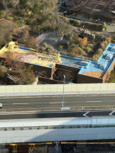 桃白白 - るいの女の子ブログ画像