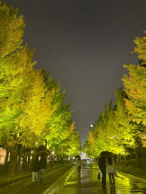 桃白白 - なつの女の子ブログ画像