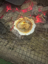 桃白白 - りんの女の子ブログ画像