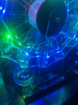 桃白白 - さなの女の子ブログ画像