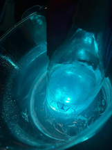 桃白白 - さなの女の子ブログ画像