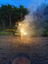 桃白白 - のんの女の子ブログ画像