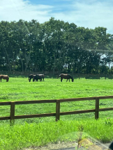 桃白白 - のんの女の子ブログ画像