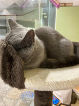 桃白白 - のんの女の子ブログ画像