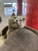 桃白白 - のんの女の子ブログ画像