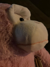 桃白白 - のんの女の子ブログ画像