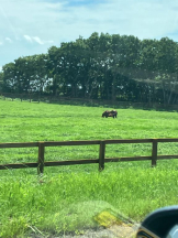 桃白白 - のんの女の子ブログ画像