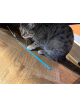 桃白白 - のんの女の子ブログ画像