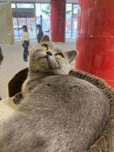 桃白白 - のんの女の子ブログ画像